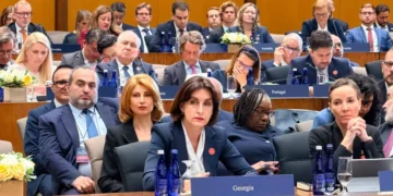 Bochorishvili: Georgia has faced coordinated campaigns against state institutions