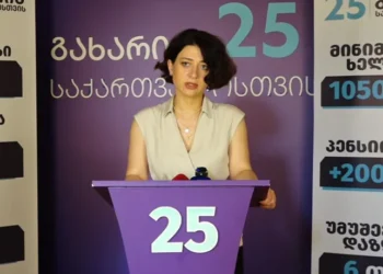 Buchukuri: Georgian Dream is manipulating ECHR ruling to justify persecution