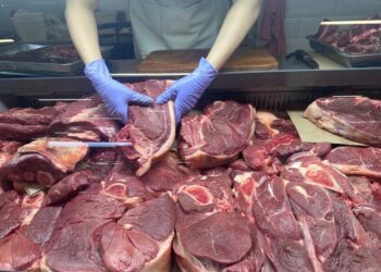 Georgia establishes Meat Producers’ Association