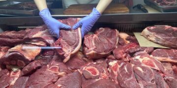 Georgia establishes Meat Producers’ Association