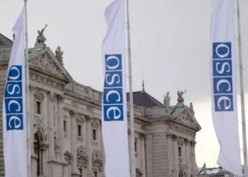 OSCE Parliamentary Assembly adopts resolution on Georgia calling for release of political prisoners