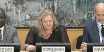 UN human rights chief urges Georgia to review legislation, investigate alleged rights violations