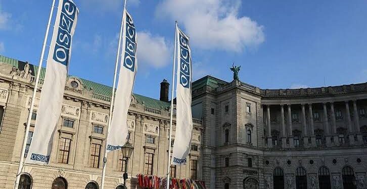 OSCE PA committee backs draft resolution expressing concern over developments in Georgia