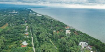 State to auction Shekvetili land for hostel and apartment project
