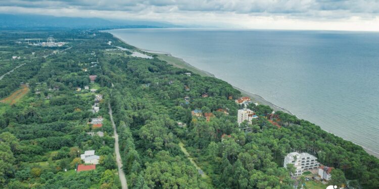 State to auction Shekvetili land for hostel and apartment project