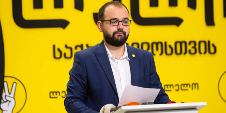 Gegelia: EU report shows Georgia’s European integration path has come to an end