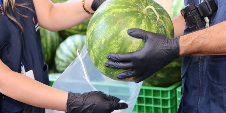 National Food Agency: No nitrate violations found in watermelon and melon samples