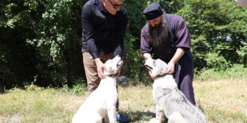 Free microchipping, vaccination for owned dogs begins across Georgia