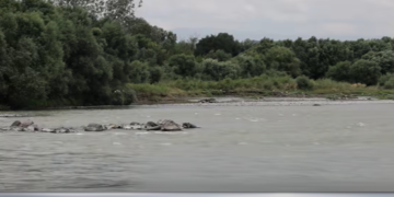 Investigation Service: 2.1 million GEL Mtkvari River material illegally extracted