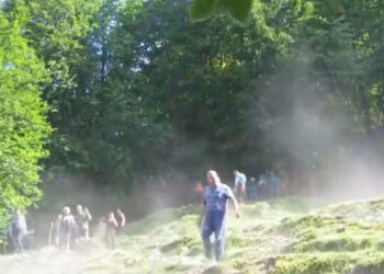 Interior Ministry says ‘no suspicious circumstances identified’ in Guram Dadianidze disappearance case