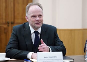 Russia must withdraw its occupation forces from Georgian territory – NATO representative