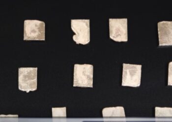 Russian citizen arrested for smuggling gold bars into Georgia