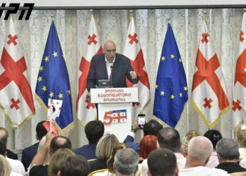 Irakli Pavlenishvili elected head of United National Movement’s Governing Council