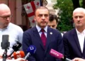 Strong Georgia – Lelo files constitutional complaint to restore emigrants’ right to vote
