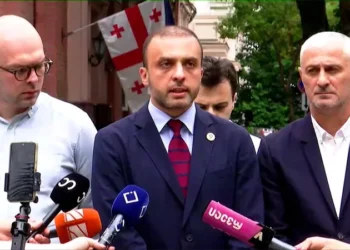 Strong Georgia – Lelo files constitutional complaint to restore emigrants’ right to vote