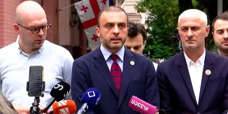 Strong Georgia – Lelo files constitutional complaint to restore emigrants’ right to vote