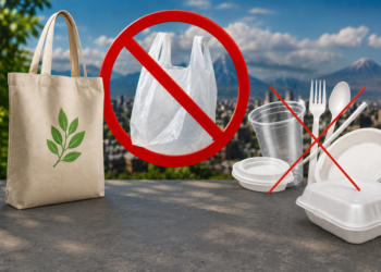 Armenia to ban plastic bags, single-use plastic items from 2027